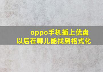 oppo手机插上优盘以后在哪儿能找到格式化