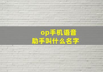 op手机语音助手叫什么名字