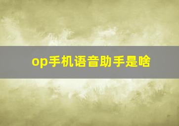 op手机语音助手是啥