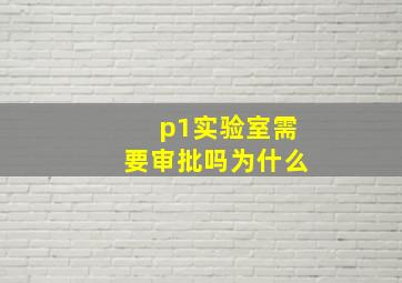 p1实验室需要审批吗为什么