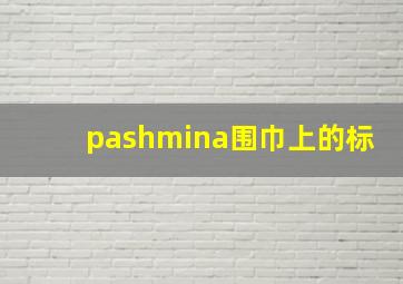 pashmina围巾上的标