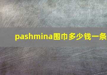 pashmina围巾多少钱一条