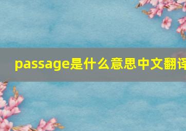 passage是什么意思中文翻译