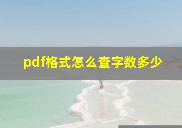 pdf格式怎么查字数多少