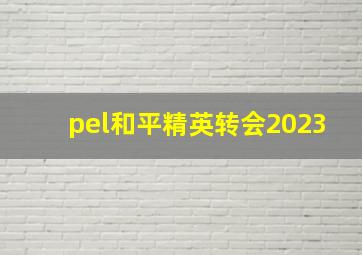 pel和平精英转会2023