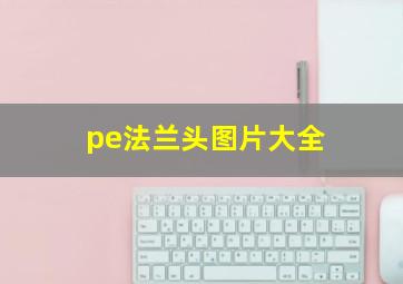 pe法兰头图片大全