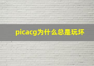 picacg为什么总是玩坏