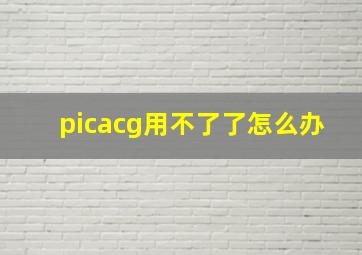 picacg用不了了怎么办