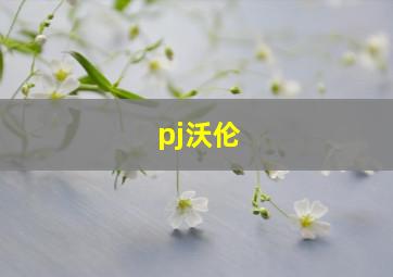 pj沃伦