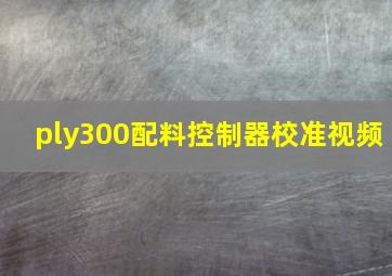 ply300配料控制器校准视频