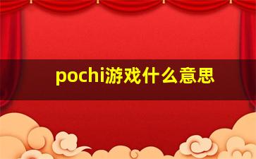 pochi游戏什么意思