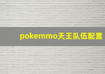 pokemmo天王队伍配置