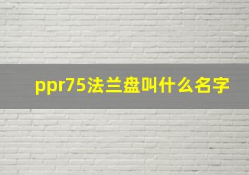 ppr75法兰盘叫什么名字