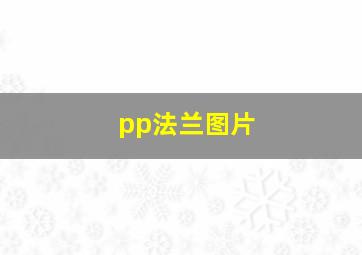 pp法兰图片