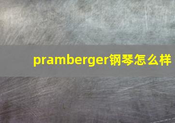 pramberger钢琴怎么样