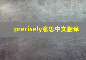 precisely意思中文翻译