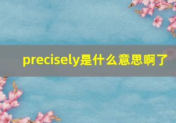 precisely是什么意思啊了