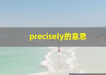 precisely的意思