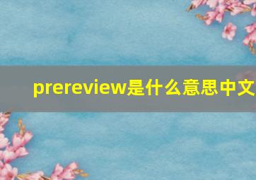 prereview是什么意思中文