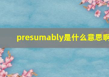 presumably是什么意思啊