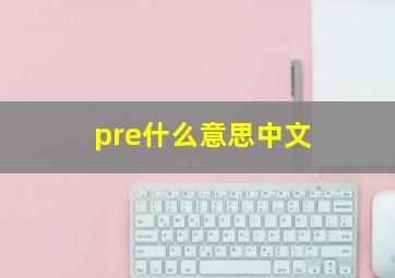 pre什么意思中文