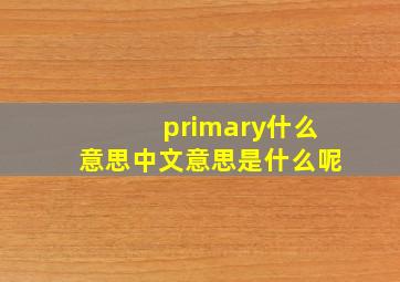 primary什么意思中文意思是什么呢