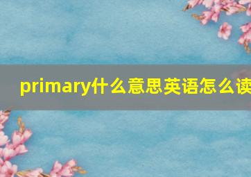 primary什么意思英语怎么读