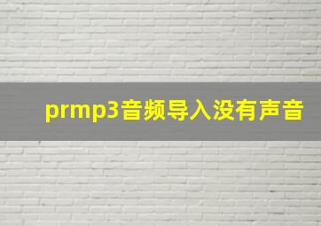 prmp3音频导入没有声音