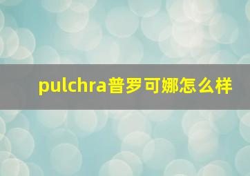 pulchra普罗可娜怎么样