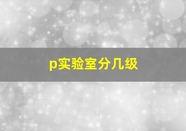 p实验室分几级