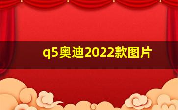 q5奥迪2022款图片