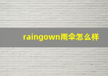 raingown雨伞怎么样