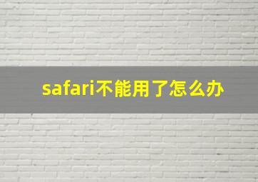 safari不能用了怎么办