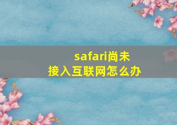 safari尚未接入互联网怎么办