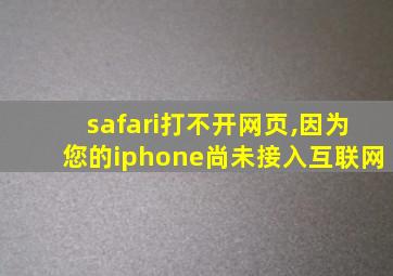 safari打不开网页,因为您的iphone尚未接入互联网