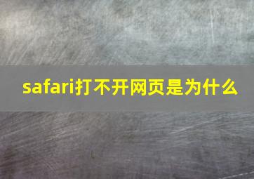 safari打不开网页是为什么