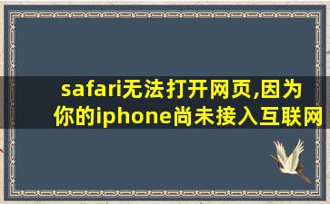 safari无法打开网页,因为你的iphone尚未接入互联网