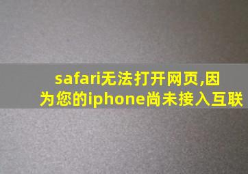 safari无法打开网页,因为您的iphone尚未接入互联