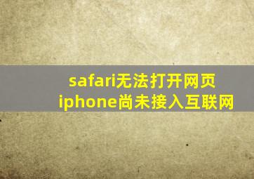 safari无法打开网页iphone尚未接入互联网