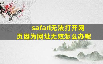 safari无法打开网页因为网址无效怎么办呢