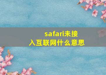 safari未接入互联网什么意思