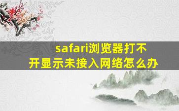 safari浏览器打不开显示未接入网络怎么办