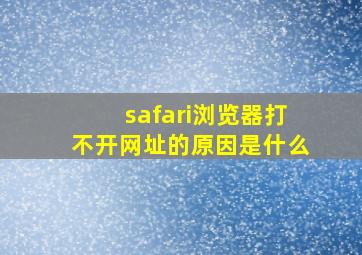 safari浏览器打不开网址的原因是什么