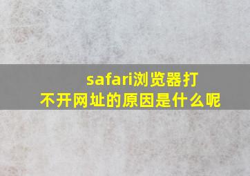 safari浏览器打不开网址的原因是什么呢