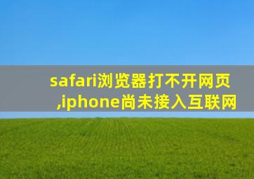 safari浏览器打不开网页,iphone尚未接入互联网