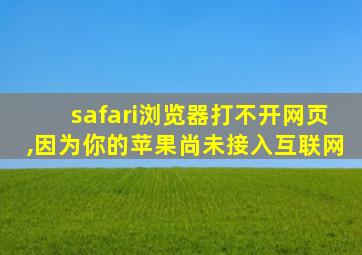 safari浏览器打不开网页,因为你的苹果尚未接入互联网