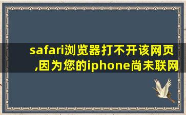 safari浏览器打不开该网页,因为您的iphone尚未联网