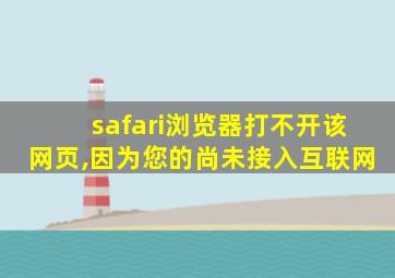 safari浏览器打不开该网页,因为您的尚未接入互联网