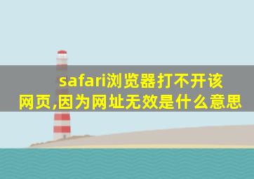 safari浏览器打不开该网页,因为网址无效是什么意思