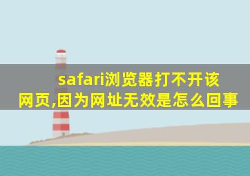 safari浏览器打不开该网页,因为网址无效是怎么回事